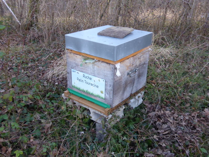 La ruche Pelin Touracine