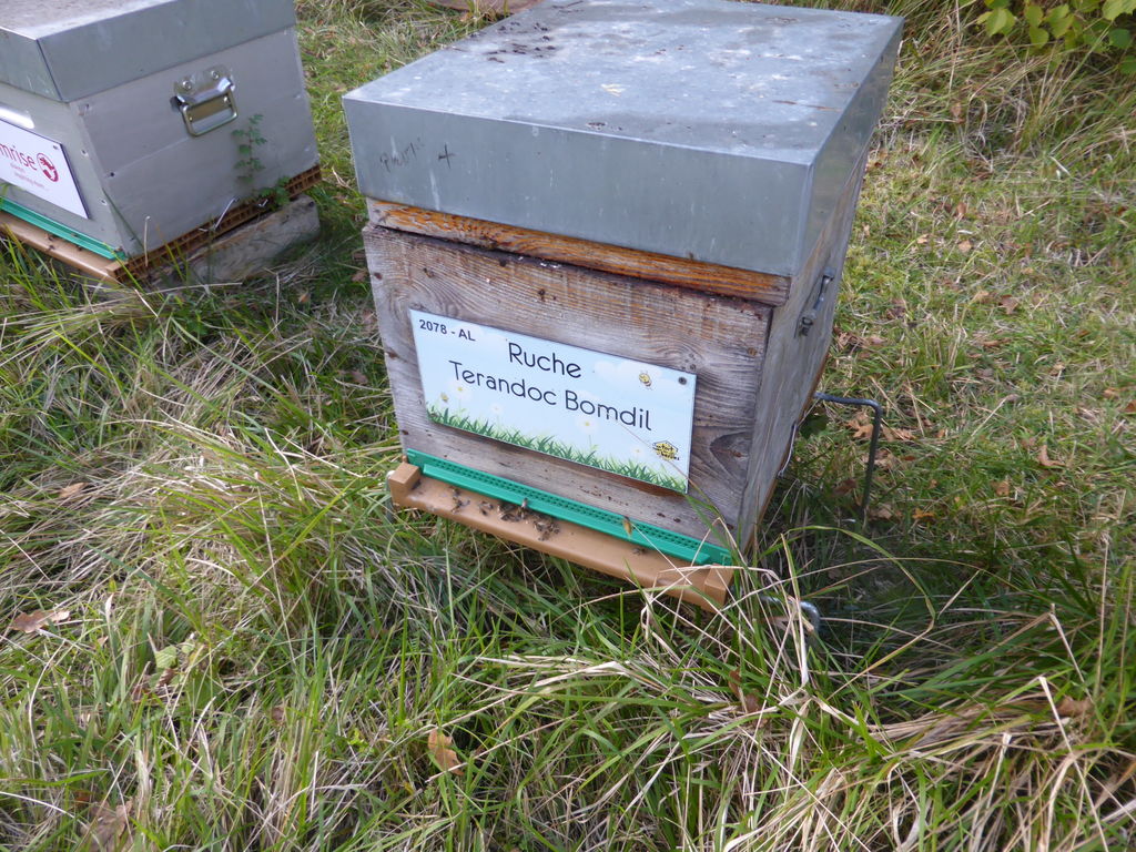 La ruche Terandoc Bomdil