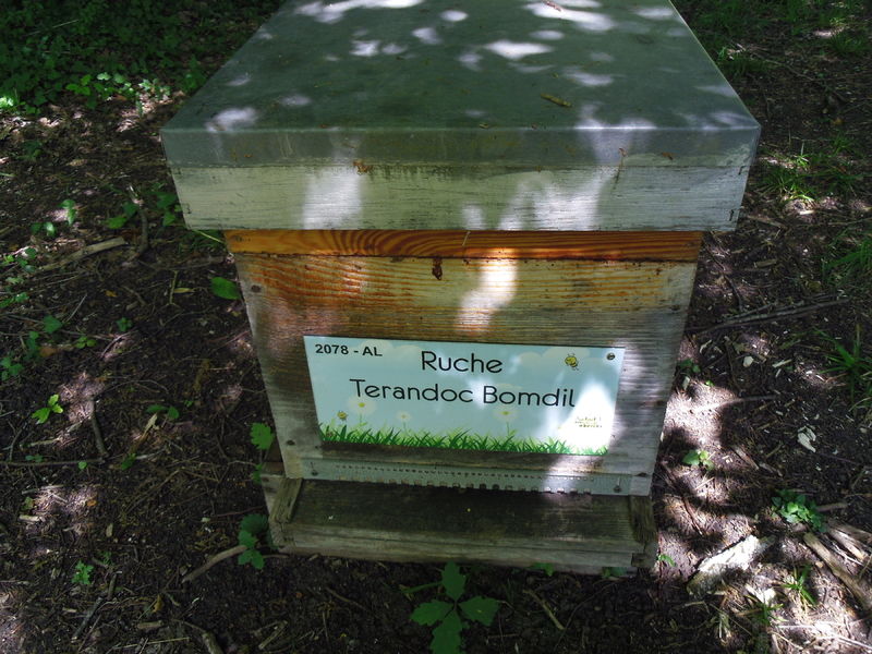 La ruche Terandoc Bomdil