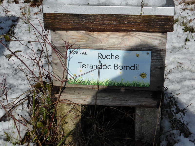 La ruche Terandoc Bomdil