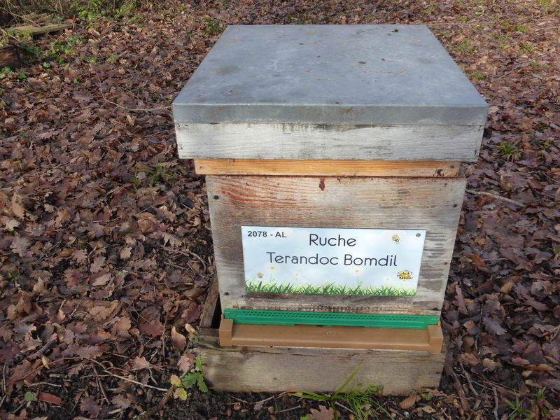 La ruche Terandoc Bomdil
