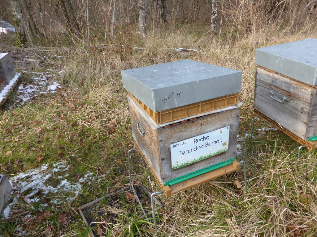 La ruche Terandoc Bomdil