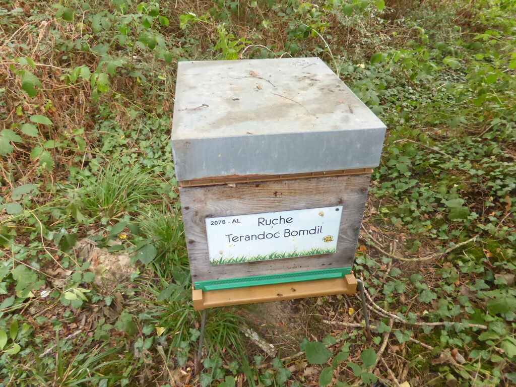 La ruche Terandoc Bomdil