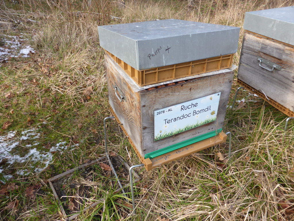 La ruche Terandoc Bomdil