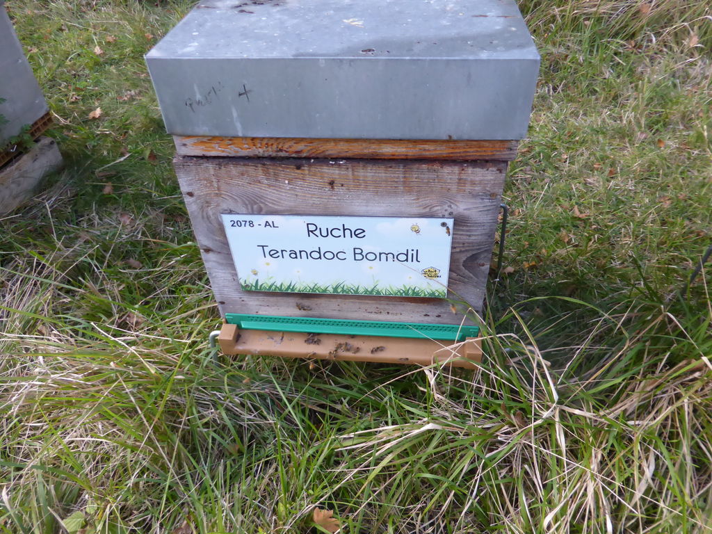 La ruche Terandoc Bomdil