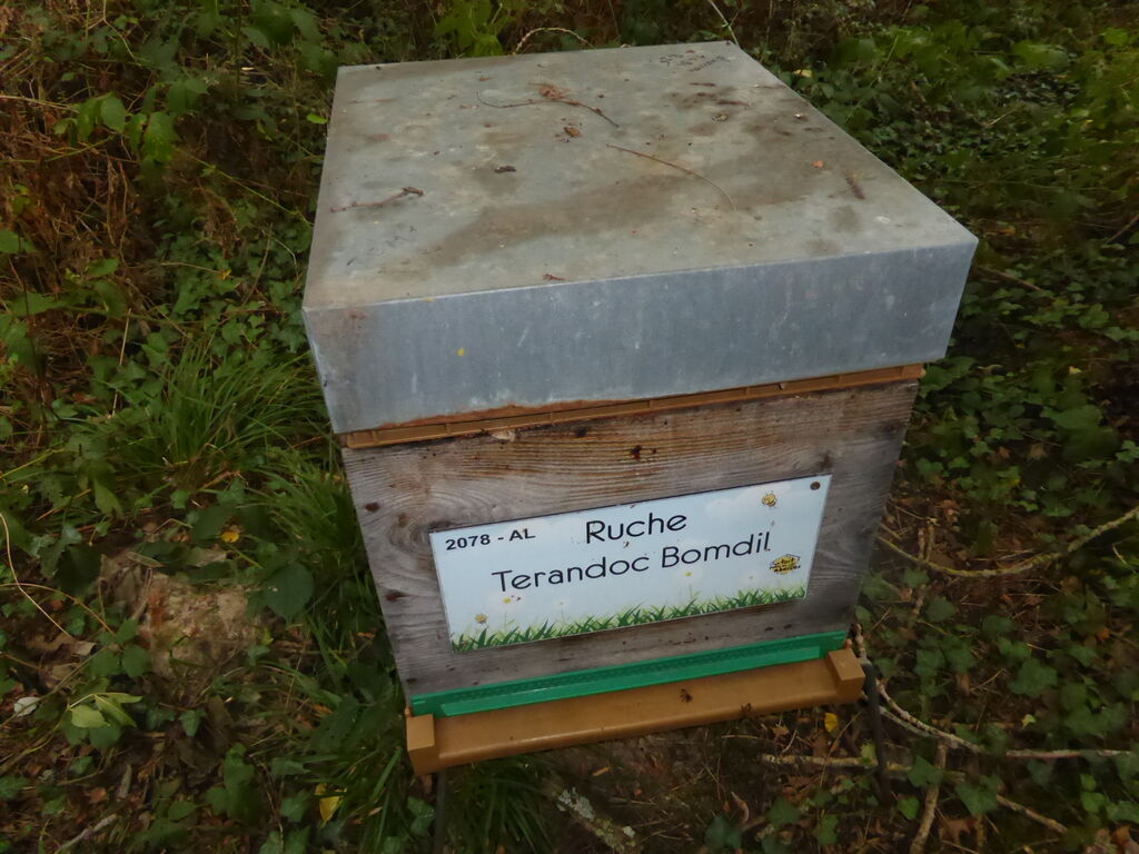 La ruche Terandoc Bomdil