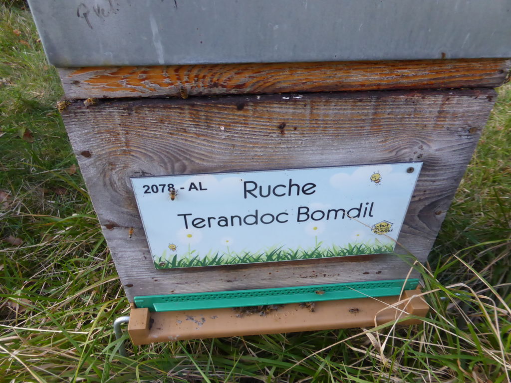 La ruche Terandoc Bomdil