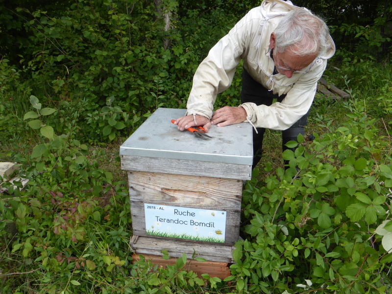 La ruche Terandoc Bomdil