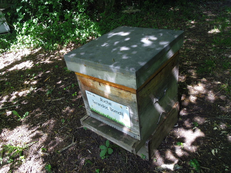La ruche Terandoc Bomdil