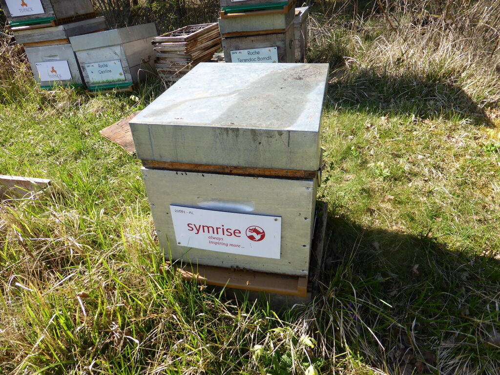 La ruche Terandoc Bomdil