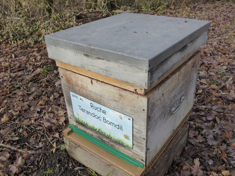 La ruche Terandoc Bomdil