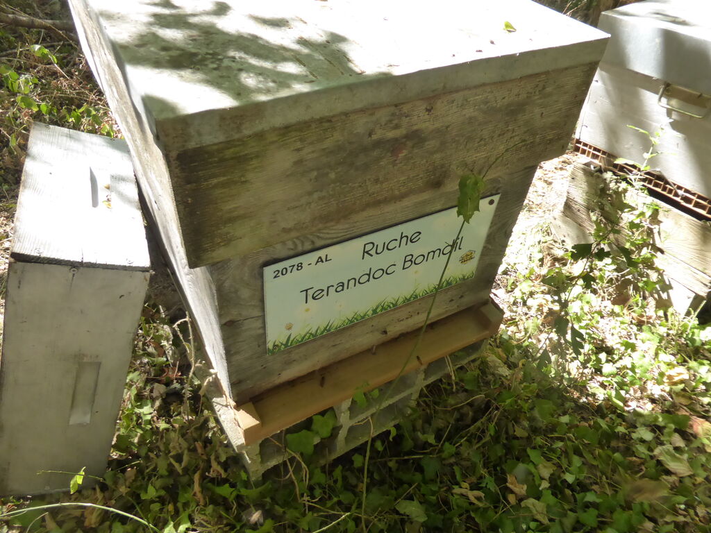 La ruche Terandoc Bomdil
