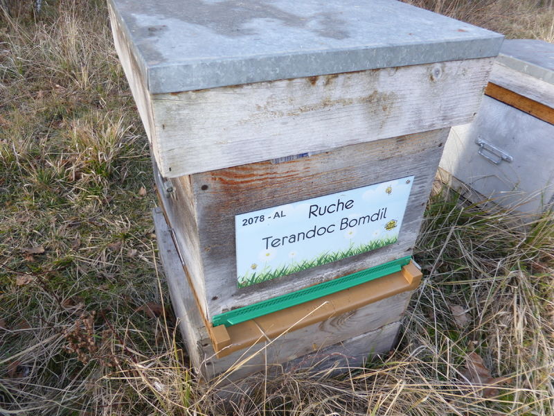 La ruche Terandoc Bomdil