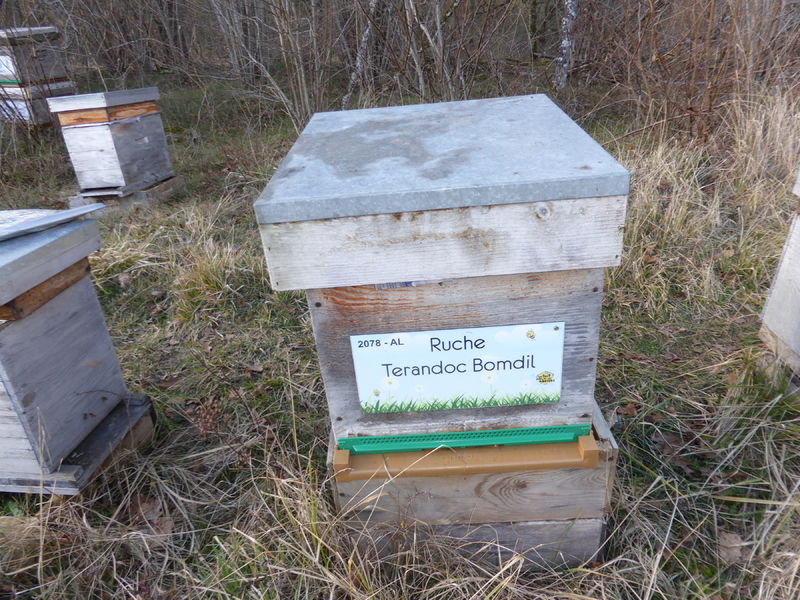 La ruche Terandoc Bomdil