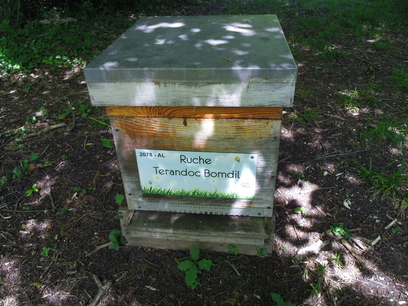 La ruche Terandoc Bomdil