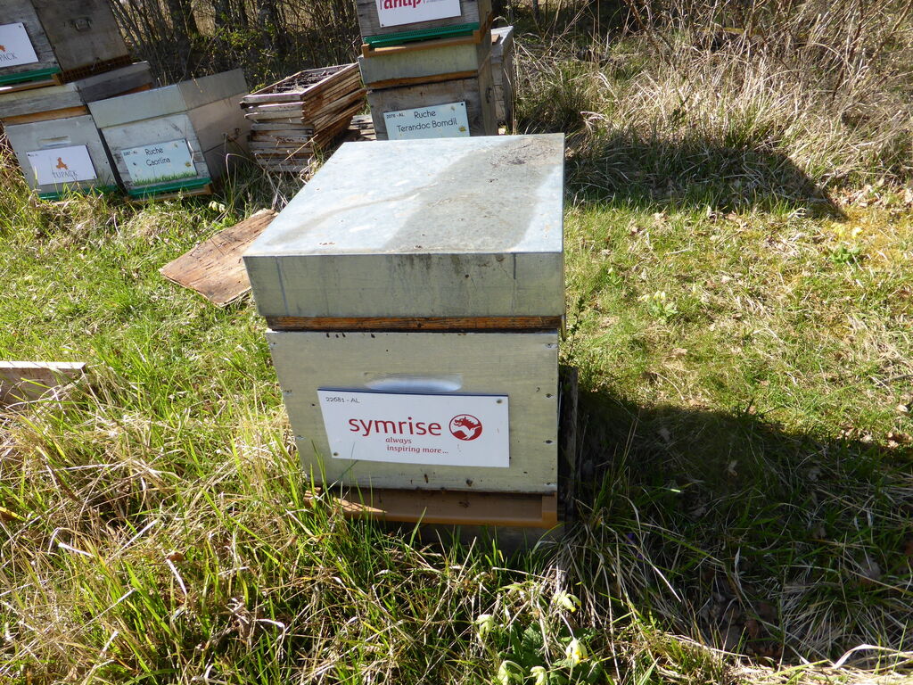 La ruche Terandoc Bomdil