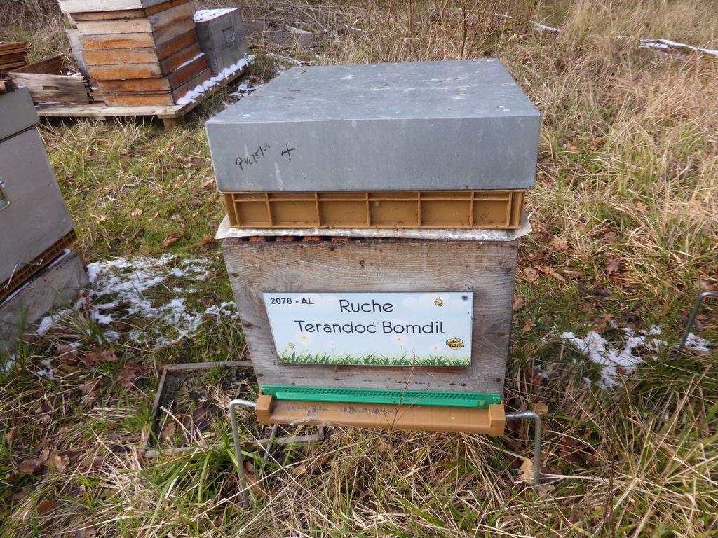 La ruche Terandoc Bomdil