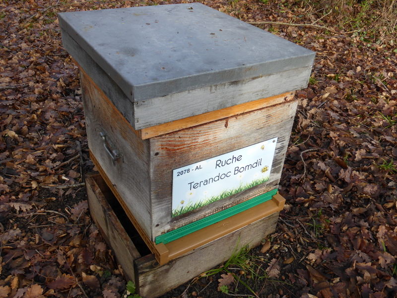 La ruche Terandoc Bomdil