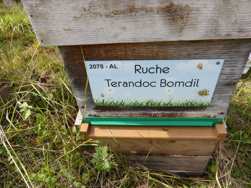 La ruche Terandoc Bomdil