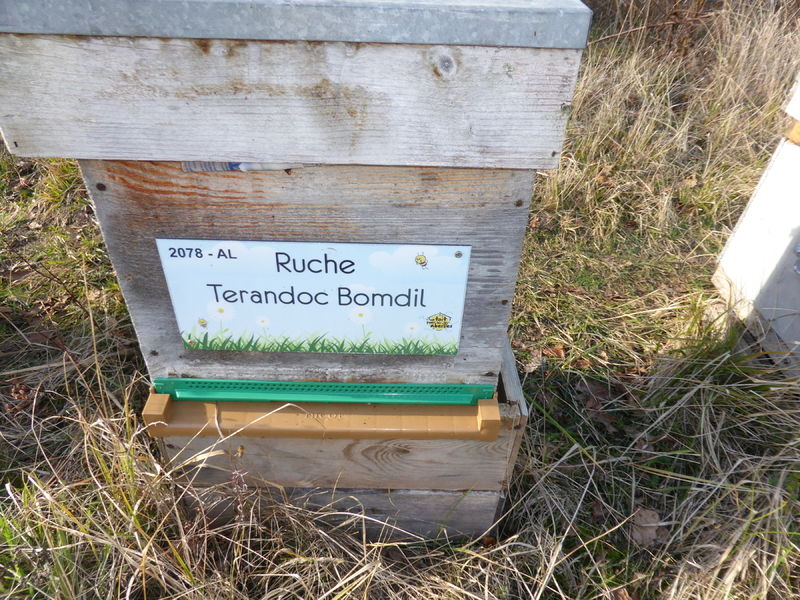 La ruche Terandoc Bomdil