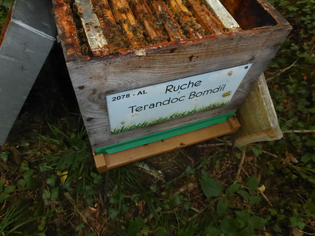 La ruche Terandoc Bomdil