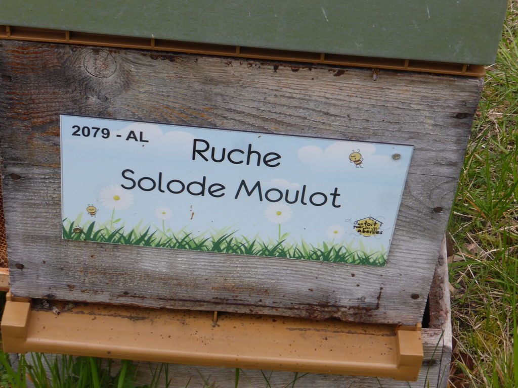 La ruche Solode Moulot