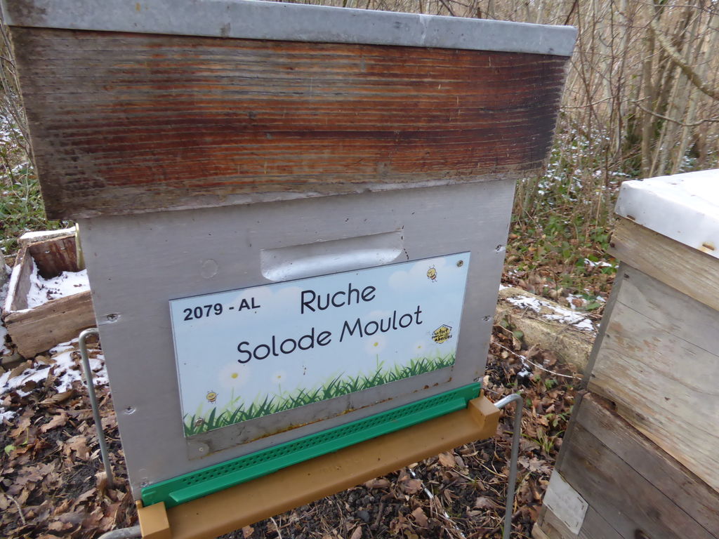 La ruche Solode Moulot