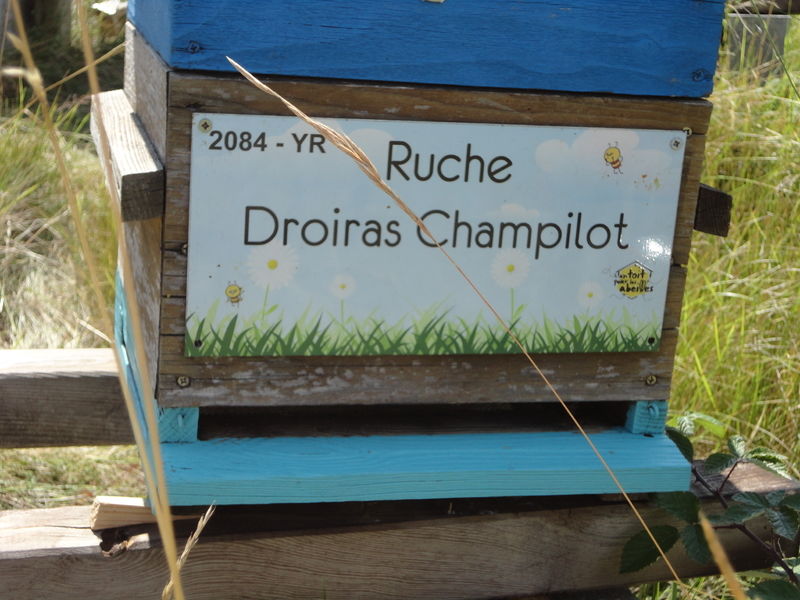 La ruche Droiras Champilot