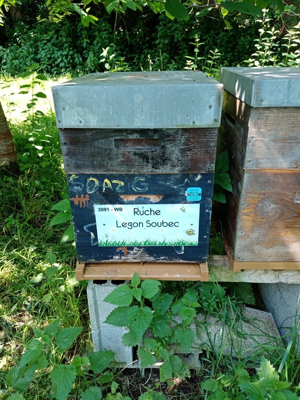 La ruche Legon Soubec
