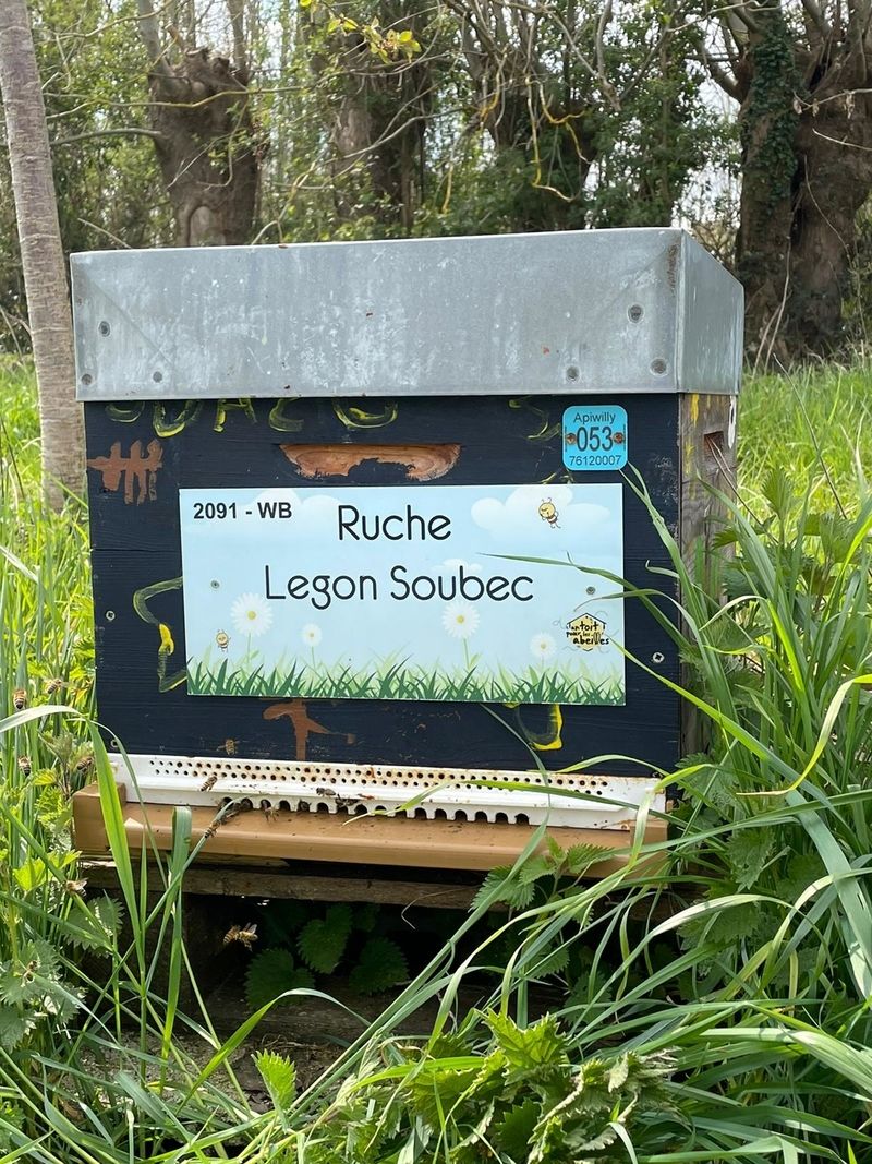La ruche Legon Soubec