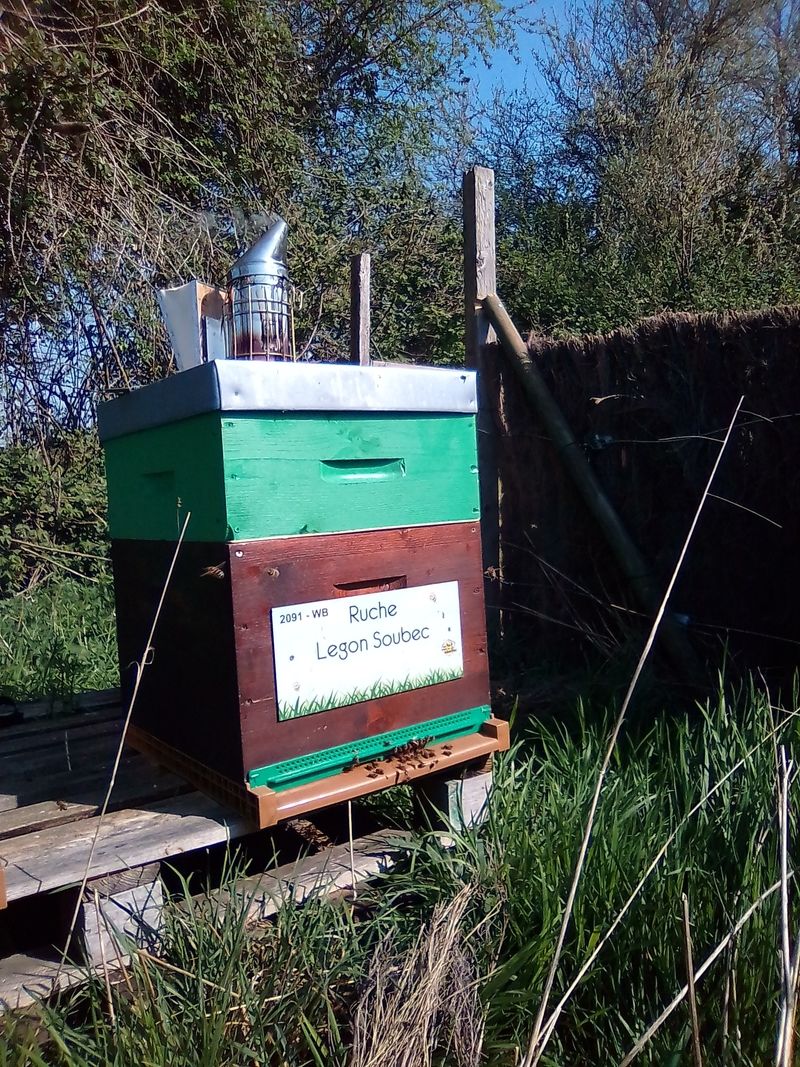 La ruche Legon Soubec