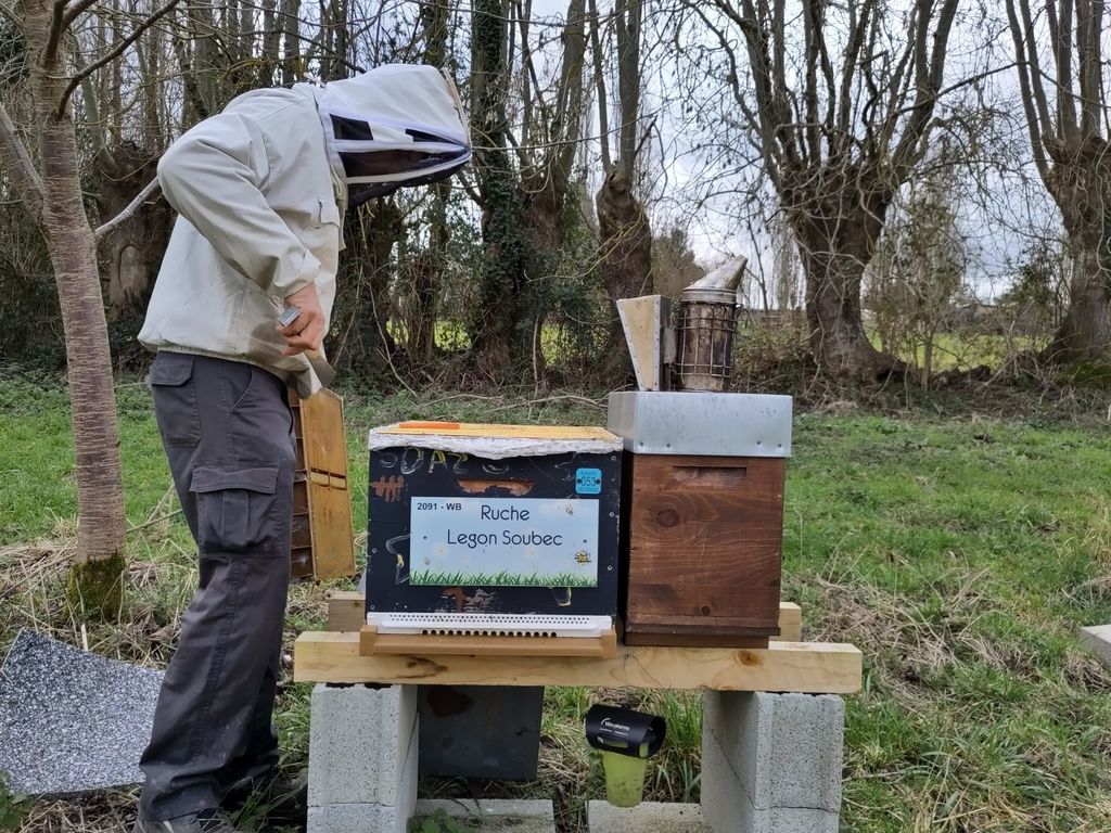 La ruche Legon Soubec