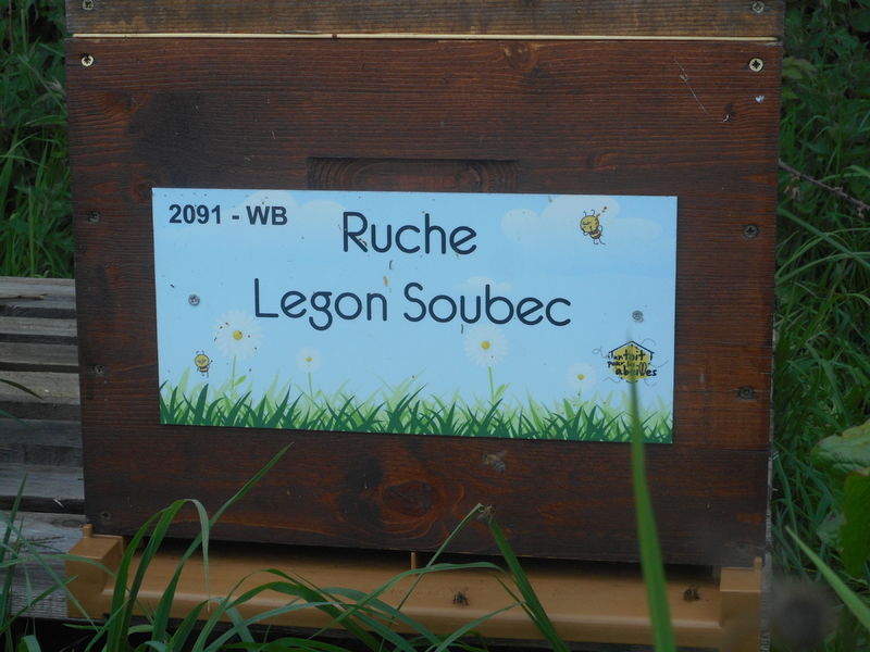 La ruche Legon Soubec