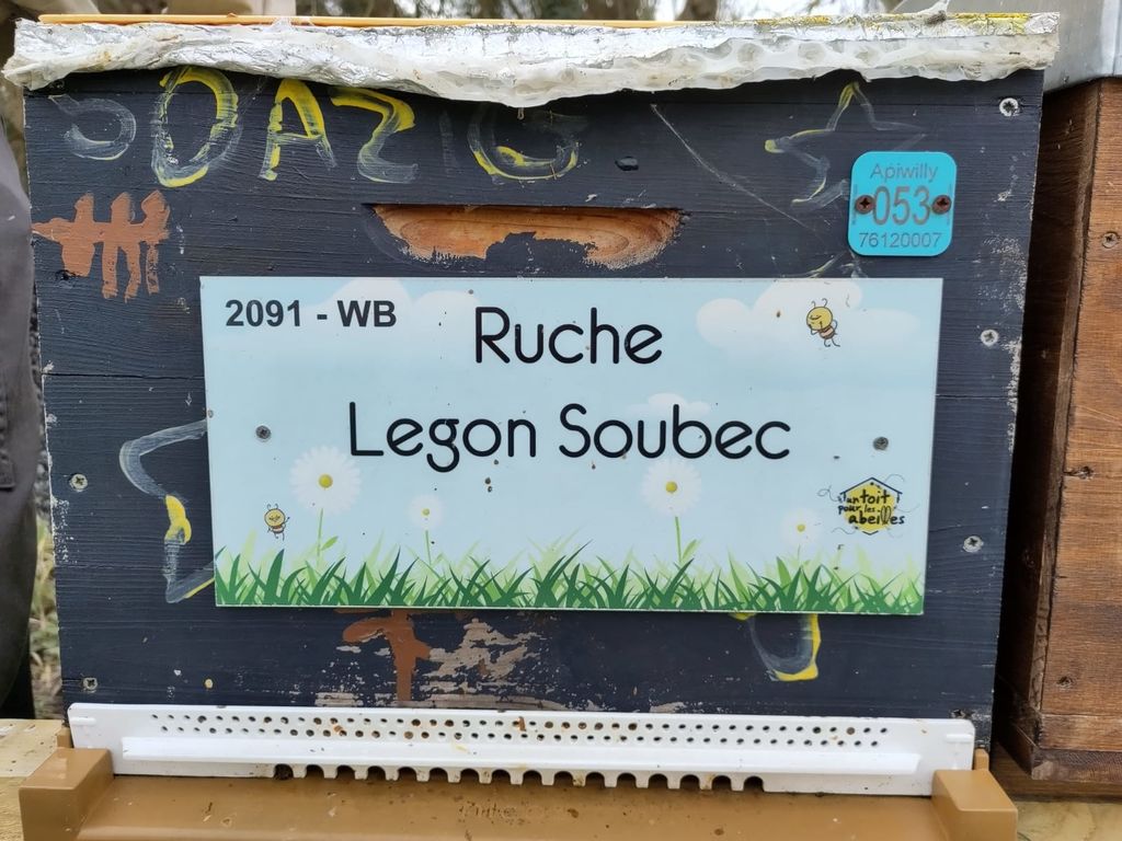 La ruche Legon Soubec