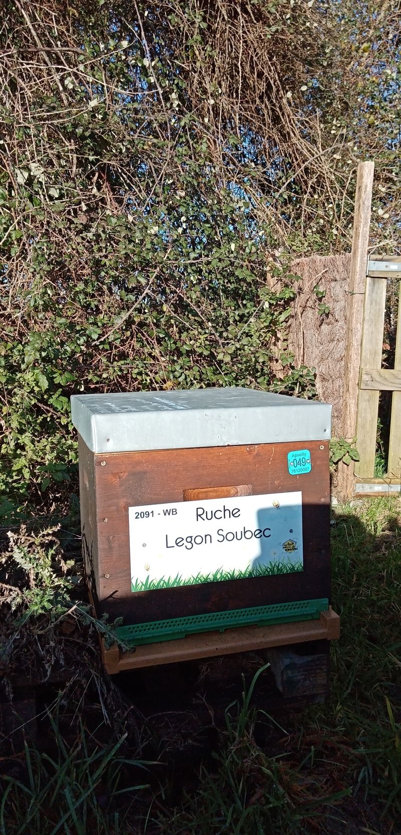 La ruche Legon Soubec