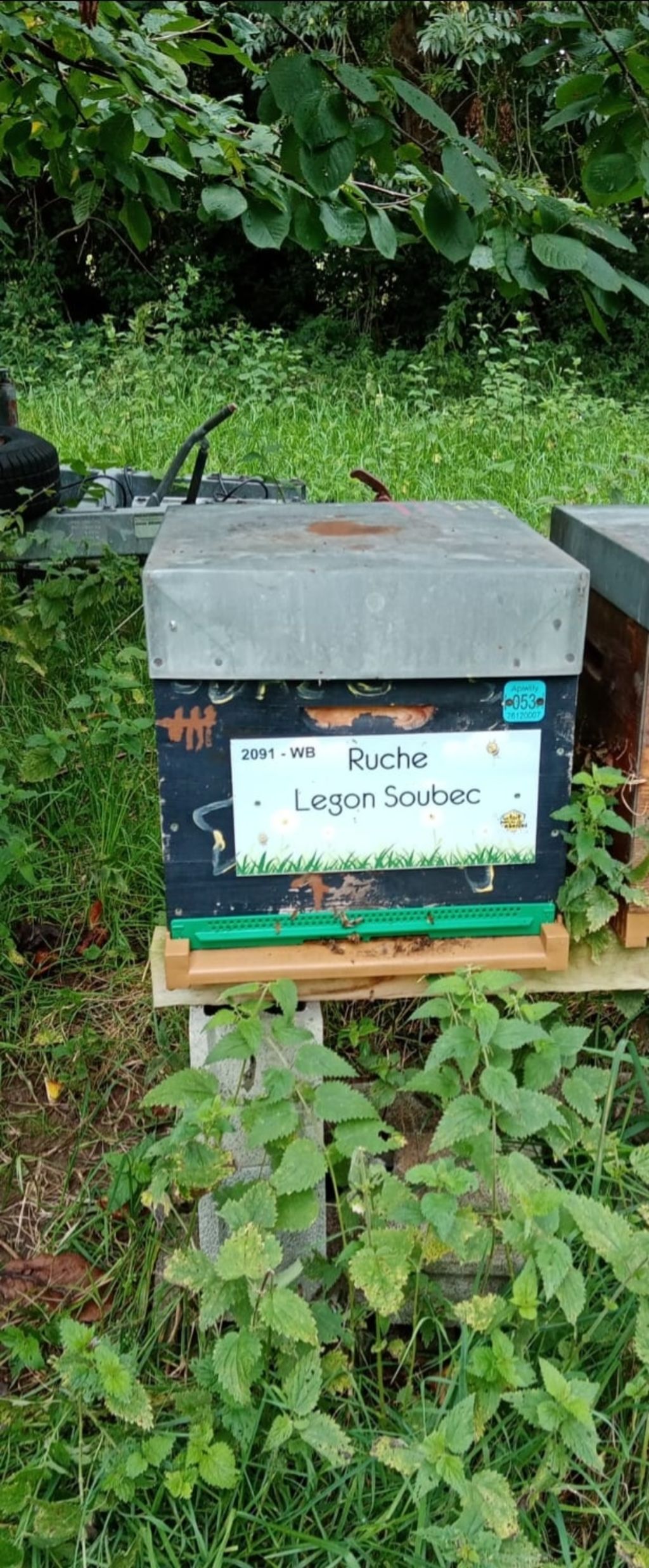 La ruche Legon Soubec