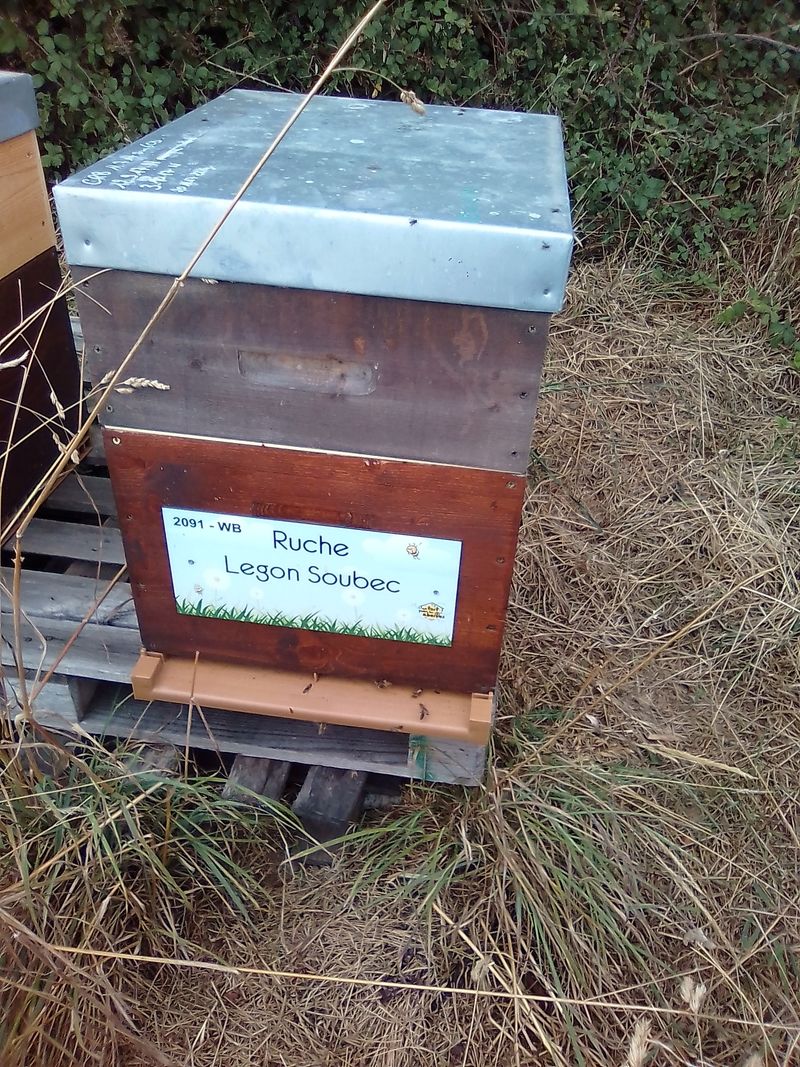 La ruche Legon Soubec