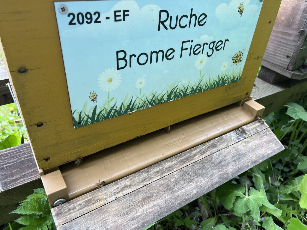 La ruche Brome Fierger
