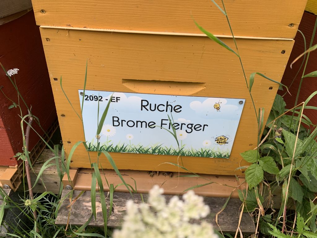 La ruche Brome Fierger