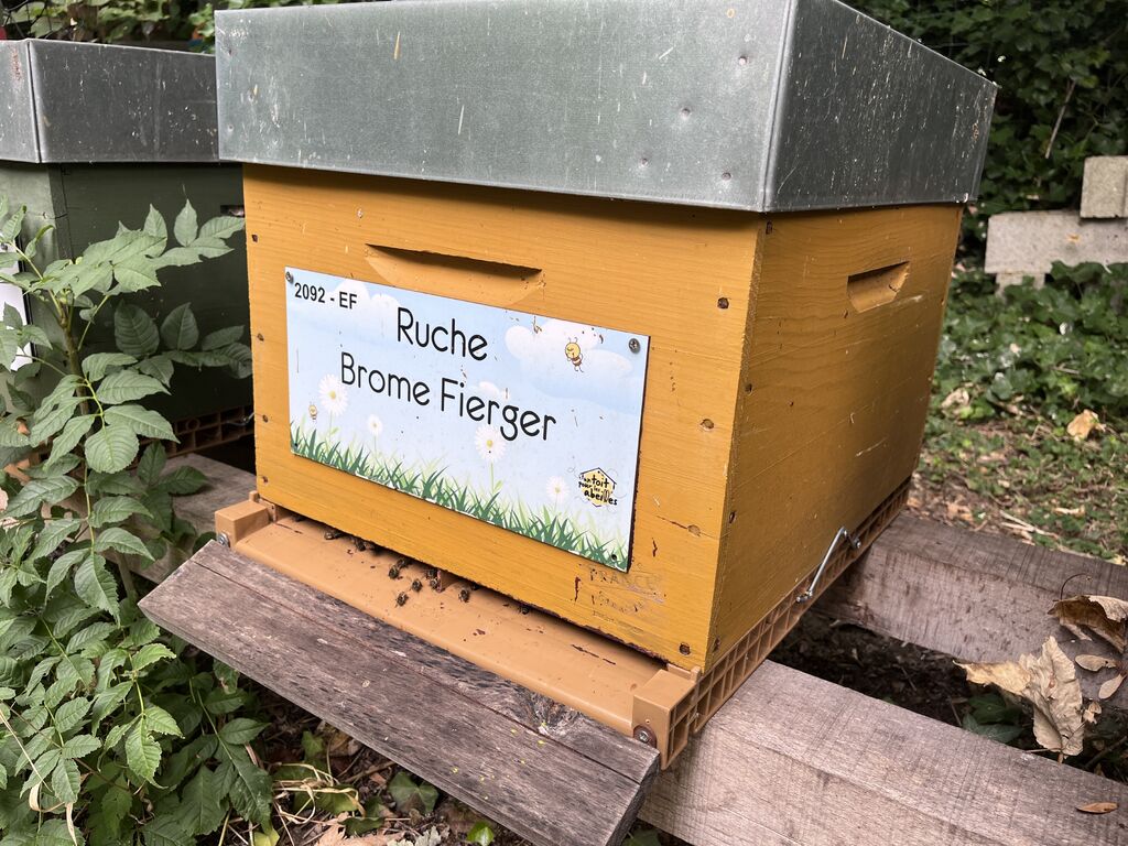 La ruche Brome Fierger
