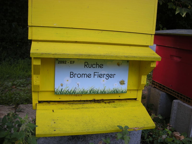 La ruche Brome Fierger