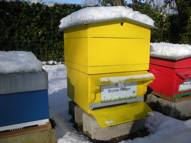 La ruche Brome Fierger