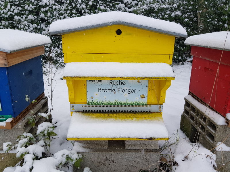 La ruche Brome Fierger