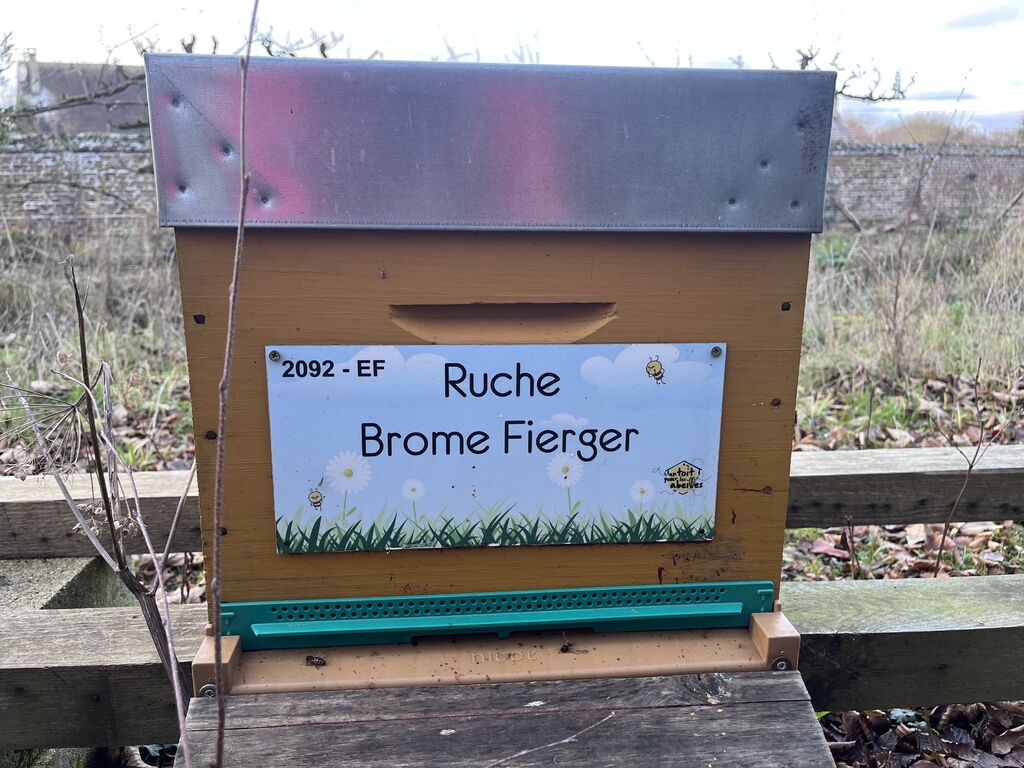 La ruche Brome Fierger
