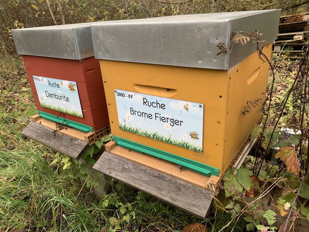 La ruche Brome Fierger