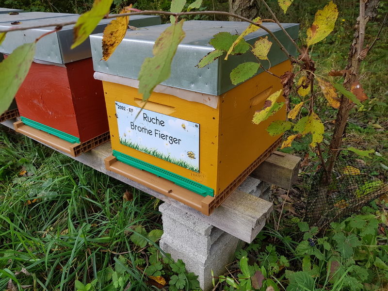 La ruche Brome Fierger