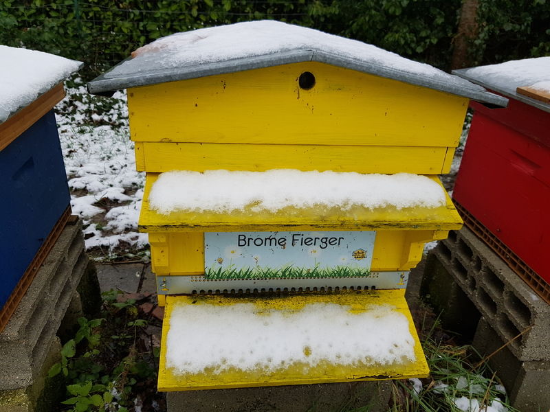 La ruche Brome Fierger