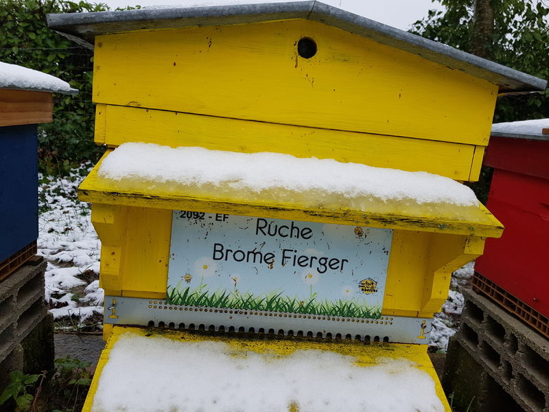 La ruche Brome Fierger