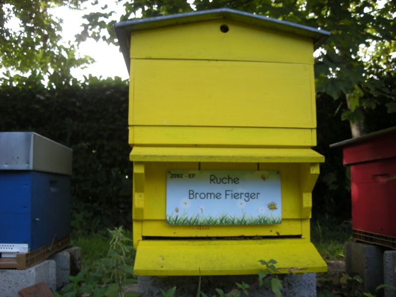 La ruche Brome Fierger