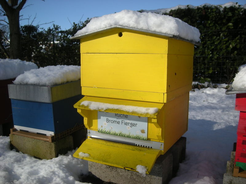 La ruche Brome Fierger